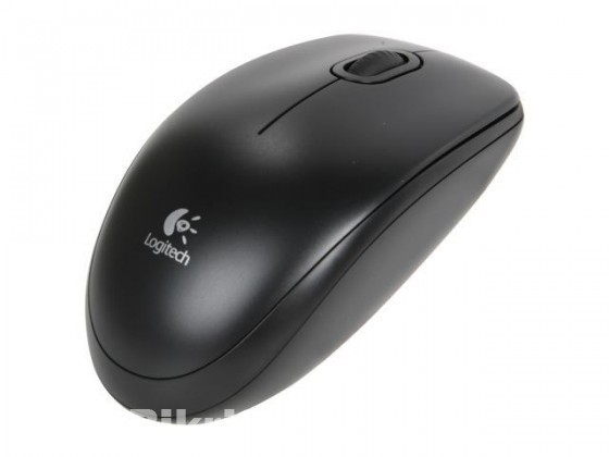 Logitech B100